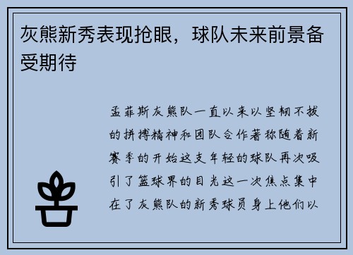 灰熊新秀表现抢眼，球队未来前景备受期待